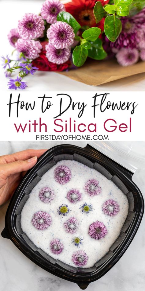 Upcycling, How To Dry Out Flowers, Silica Gel Uses, How To Dry Flowers, Dried Flowers Crafts, Preserving Flowers, Pressed Flowers Diy, Drying Flowers, Kerajinan Diy