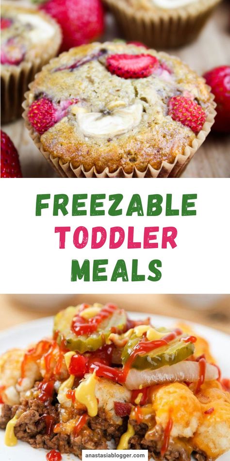 I know that as a busy parent, you won’t always have time to prepare a fancy or well-prepped meal for your kids. With that said, here are delicious freezable toddler meal recipes your children will love! #readymaderecipes #toddlerrecipes Toddler Meal Prep Freezer Cooking, Freezer Kids Meals, Kids Lunch Meal Prep, Meal Prep Kids Dinners, Meal Prep 10 Month Old, Meals For Toddlers And Adults, Freezer Meals For Toddlers, Frozen Toddler Meals, Toddler Freezer Meal Prep