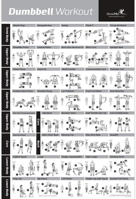 Dumbbell Workout Routine, Dumbbell Workout Plan, Free Weight Workout, Weight Lifting Routine, Fitness Studio Training, Workout Plan For Men, Dumbell Workout, Barbell Workout, Gym Workout Chart