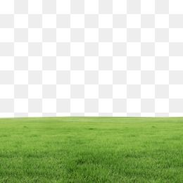 원지,잔디 Green Grass Png, Grass Photoshop, Grass Png, Photoshop Landscape, Tree Photoshop, Blur Image Background, Feature Wall Design, Photoshop Rendering, Blur Photo Background