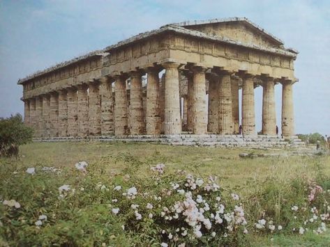 Temple Of Hera Olympia, Greek Temple Architecture, Ancient Greece Temple, Greek Temple Ruins, Old Greek Architecture, Greek Mythology Temple, Greek Buildings Aesthetic, Greek Ruins Aesthetic, Greek Temple Aesthetic