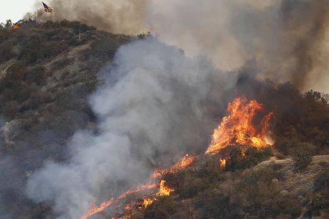 Droughts in California may cause not only water shortages, but also conditions ripe for dangerous forest fires, landslides and poor water quality. Disney Golden Oak, California Drought, Disaster Plan, Sonoma Wine Country, Wine Country California, California Dreamin', Forest Fire, Water Quality, Filming Locations