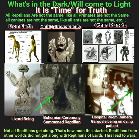 Reptilians People, Reptilian Shapeshifter, Reptilian Alien, Reptilian People, Spiritual Education, Types Of Aliens, Bible Evidence, Alien Videos, Alien Theories