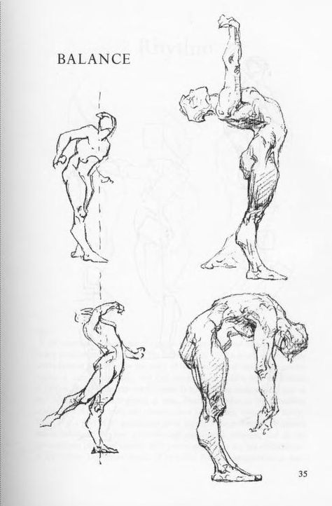 Bridgman - Complete Guide to Drawing from Life.pdf (PDFy mirror) : Free Download, Borrow, and Streaming : Internet Archive George B. Bridgman, Bridgeman Drawing, George Bridgman Anatomy, Bridgman Drawing, Bridgeman Anatomy, Bridgman Anatomy, Balance Drawing, George Bridgman, Boichi Manga