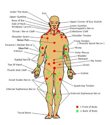 17 Self-Defense Tips - Memorize pressure points. Body Pressure Points, Jiu Jutsu, Martial Arts Sparring, Median Nerve, Self Defence Training, Trening Sztuk Walki, Self Defense Moves, Self Defense Tips, Self Defense Martial Arts