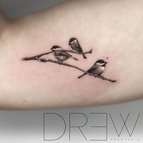 Drew Normandin | Tattoo Artist on Instagram: “Rise up this mornin' Smile with the risin' sun Three little birds Pitched by my doorstep Singin' sweet songs Of melodies pure and true…” Tiny Chickadee Tattoo, Bird Nest Tattoos For Women, 3 Birds On A Branch Tattoo, Tiny Bird Tattoos For Women Wrist, Song Bird Tattoos For Women, Momma Bird And Baby Bird Tattoo, Three Birds On A Branch Tattoo, Mountain Chickadee Tattoo, Delicate Bird Tattoos For Women