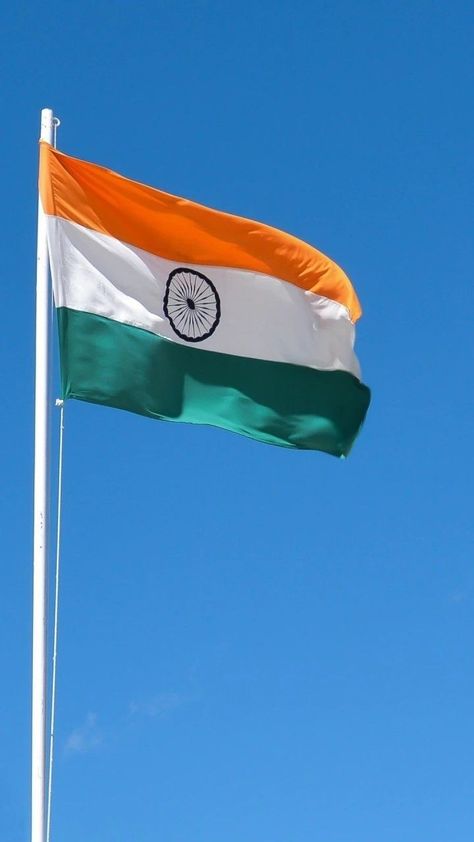 India Flag Pictures, Indian Flag For Dp, Indian Flag Dp For Whatsapp, Tiranga Dp, Flag Dp, Tiranga Flag, Indian National Flag, Indian Flag Pic, Flag India