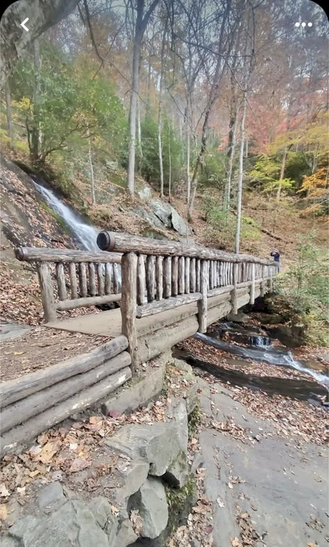 Wooden Bridge Over Creek, Yard Bridge, Backyard Bridges, Outdoor Bridges, Pond Bridge, Farm Layout, Permaculture Gardening, Garden Steps, Diy Wooden Projects