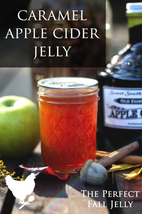 A favorite fall season jelly made from apple cider, with a hint of caramel and cinnamon. This recipe makes about 6 half pint jars Spiced Apple Jelly From Juice, Apple Core Jelly Recipe, Caramel Apple Jelly, Apple Cider Jelly Recipe, Apple Cider Jam, Carmel Apple Jelly, Fall Jelly Recipes, Spiced Apple Jelly, Apple Scrap Jelly