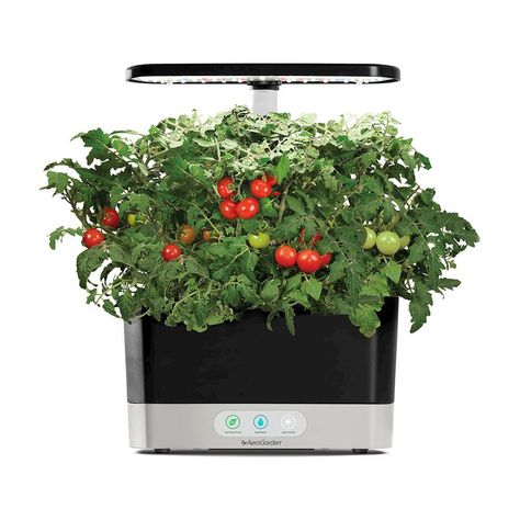 Aero Garden, Seed Kit, Smart Garden, Hydroponics System, Hydroponic Gardening, Garden Kits, Indoor Gardening, Led Grow, Herb Seeds