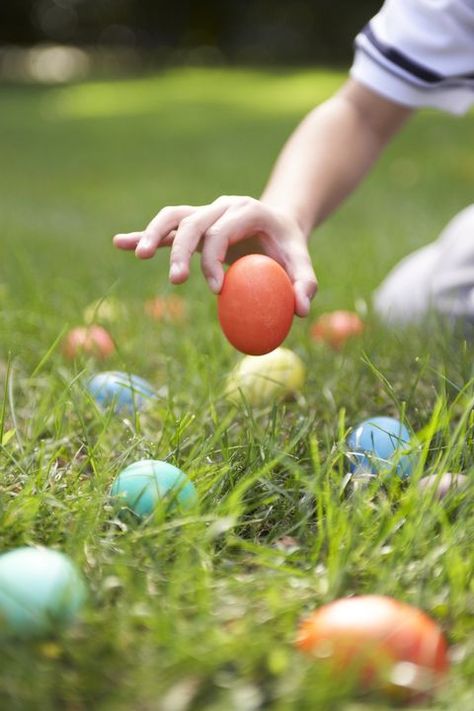 Easter Egg Hunt Games, Easter Egg Hunt Ideas, Egg Hunt Ideas, Unique Easter Eggs, Creative Easter Eggs, Easter Photography, Easter Photoshoot, Colored Eggs, Easter Event