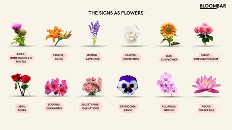 Zodiac Flowers: A Guide To Star Sign Flowers – Bloombar Flowers Zodiak Pisces, Capricorn Flower, Zodiac Flowers, Horse Zodiac, Native American Zodiac, Sign Flowers, Constellation Zodiac Signs, Flower Symbol, Zodiac Sign Tattoos