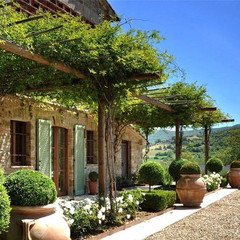 PatioZen: Using Vines in a Patio Space | OutsideModern Cheap Landscaping, Cheap Landscaping Ideas, Balkon Design, Stone Garden, Modern Flower Arrangements, Patio And Garden, Courtyard Garden, Modern Flower, Garden Stones