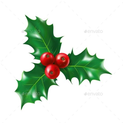 Holly Leaves Template, Ilex Berries, Christmas Fayre Ideas, Christmas Tattoos, Fantasy Dagger, Christmas Photo Album, Holly Leaves And Berries, Christmas Leaves, Robin Redbreast