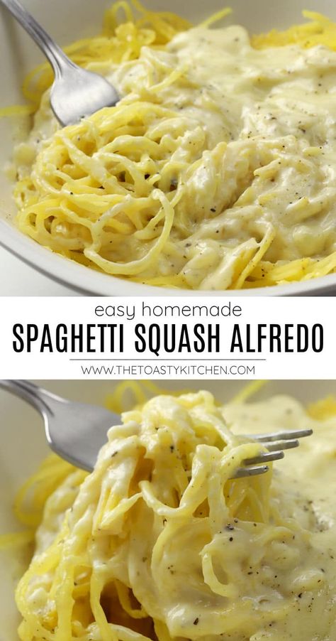 Squash Meals, Spaghetti Squash Chicken Alfredo, Alfredo Spaghetti, Spaghetti Squash Alfredo, Squash Alfredo, Spaghetti Squash Recipes Healthy, Spaghetti Squash Recipes Easy, Roasted Spaghetti Squash, Keto Pasta