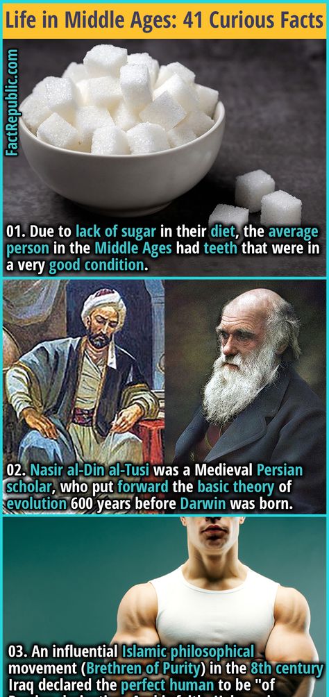 Life in Middle Ages: 41 Curious & Surprising Facts | Fact Republic Middle Ages History, Evil Things, Random Knowledge, What The Fact, Fact Republic, Health Fitness Food, 4 Sisters, Curious Facts, Theory Of Evolution