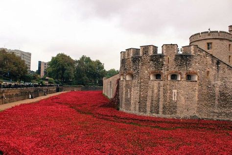 Day Trips From London, Kingdom Of Great Britain, Learn Something New, Random Facts, Lest We Forget, London Calling, New Today, Never Too Late, British Isles