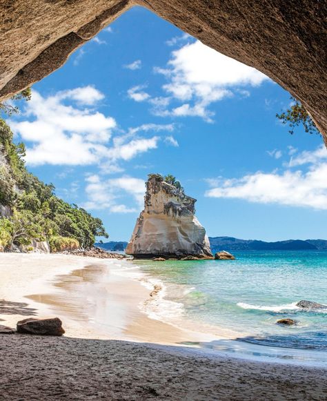 Stunning Cathedral Cove in New Zealand, a natural wonder of pristine beaches and turquoise waters. ⛰️ How would you enjoy exploring the beauty of Cathedral Cove? #naturephotography #beachlife #travel #scenicviews Cathedral Cove, Turquoise Water, Scenic Views, Natural Wonders, Beach Life, The Beauty, New Zealand, Nature Photography, Wonder