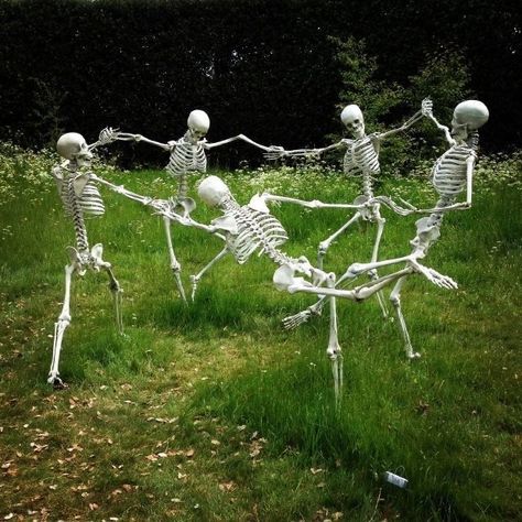 Skeleton Pics, Silly Skeleton, Hatfield House, Canadian Women, Cool Skeleton, Scary Decorations, Arte Punk, Funny Skeleton, Goofy Pictures