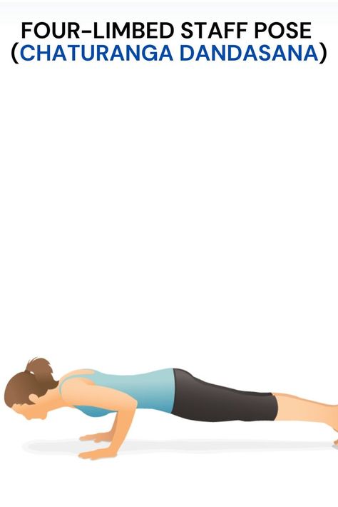 This asana balances your body and strengthens your erector spinae, the muscles on either side of your spine, like planks. This strengthens core, posture, and stability. Chaturanga improves functional strength. Erector Spinae, Chaturanga Dandasana, Strengthen Core, Muscles, Yoga