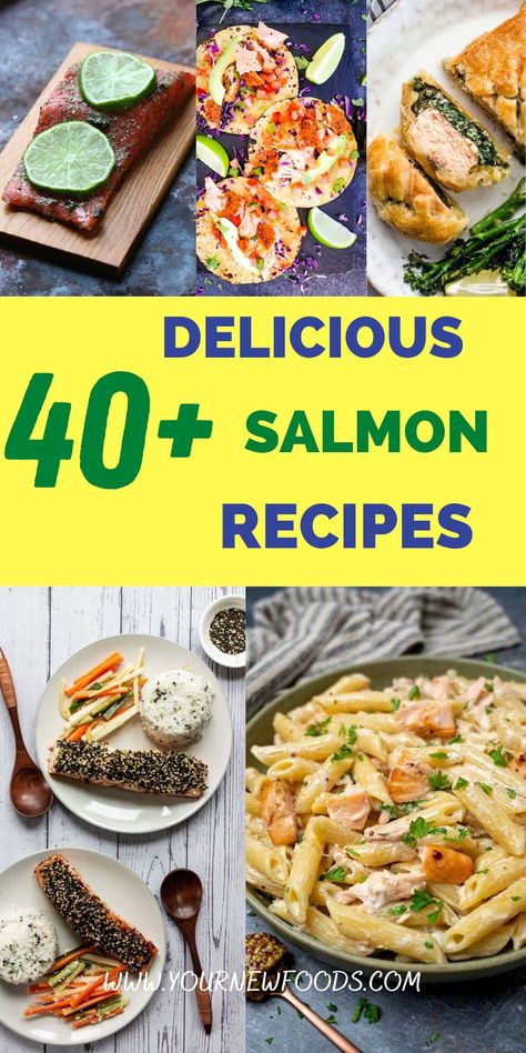 Salmon is one of the best fish you can eat, and it’s also one of the easiest to prepare. Salmon is a versatile fish that exudes richness and flavor. When prepared well, it can be moist and flavorful and it doesn’t have to be fried or loaded with sauce to taste good. So, check out these awesome Salmon recipes to see whhich will be your favorite. Unusual Salmon Recipes, Cured Salmon Recipe, Harissa Salmon, Low Carb Salmon Recipes, Grilled Cheese Recipes Gourmet, Easter Dinner Sides, Salmon Tacos Recipe, Salmon Terrine, Salmon Wellington