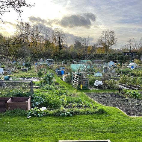 Allotment vegetable garden Allotment Ideas Inspiration Uk, Allotment Layout, Allotment Ideas Budget, Allotment Ideas, Allotment Ideas Inspiration, Half Plot Allotment, Allotment Arch, Community Allotment, No Dig Allotment Uk