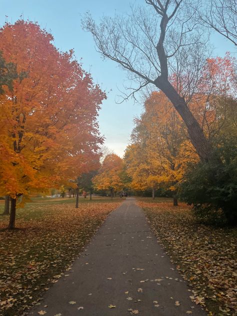 Autumn photo inspo london ontario gibbons park Track Motivation, Life On Track, Western University, Pumpkin Spice And Everything Nice, London Ontario, Best Seasons, Autumn Halloween, Autumn Vibes, Autumn Cozy