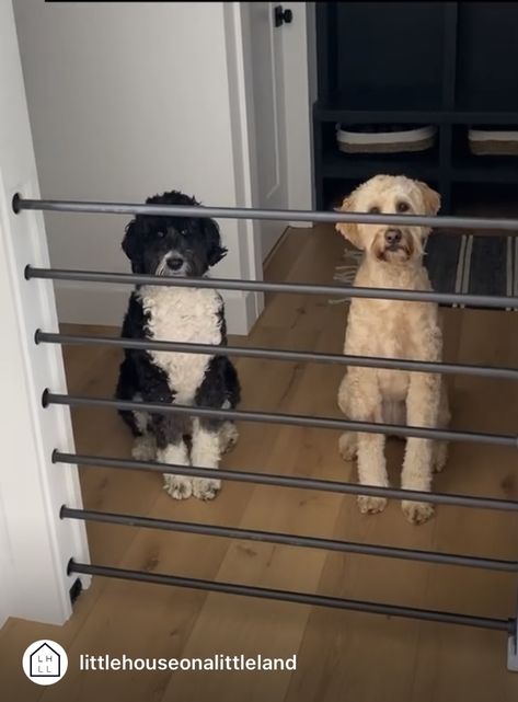 Sliding Indoor Dog Gate, Built In Gate For Pets, Dog Kennels In Closet, Hidden Stair Gate, Pocket Door Pet Gate, Modern Dog Gate, Hidden Dog Gates, Hidden Dog Gate Pocket Doors, Hidden Pet Gate