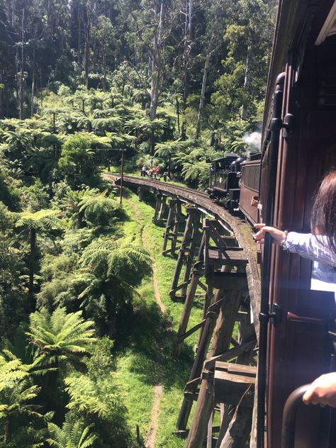 Puffing Billy Railway Australia, Puffing Billy Railway, Puffing Billy Melbourne Australia, Australia Moodboard, Melbourne Aesthetic, Puffing Billy, Melbourne Tram, Bondi Icebergs, Australia Trip