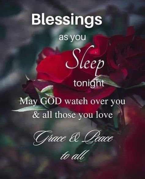 Good Night Blessings Prayer Sleep Well, Inspirational Good Night Messages, Sweet Good Night, Sweet Good Night Messages, Good Night Blessings Quotes, Christian Good Morning Quotes, Goodnight Quotes Inspirational, Evening Prayers, Good Night Cards