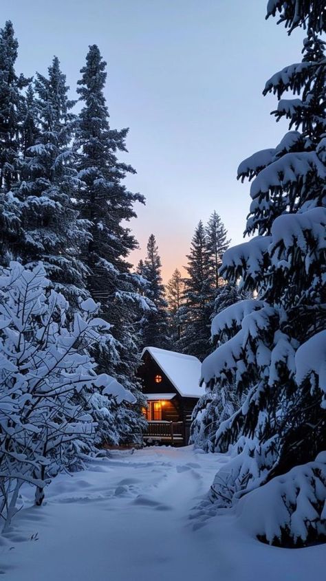 forestduck Outdoor Winter Aesthetic, Snowy Cabin Aesthetic, Winter Day Aesthetic, Winter Scenes Photography, Winter Time Aesthetic, Winter Season Aesthetic, Winter Cabin Aesthetic, Winter Vibes Cozy, Alcohol Photography