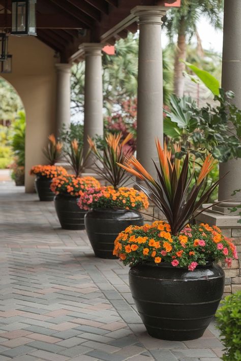 Step Display, Big Leaf Plants, Front Garden Landscape, Potted Plants Outdoor, Large Flower Pots, Front Yard Garden Design, Container Gardening Flowers, Diy Flower Pots, Garden Decor Projects