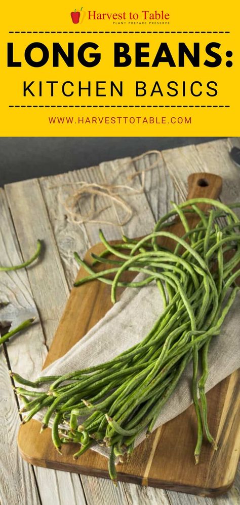 Asparagus Beans Recipes, Yard Long Green Beans Recipes, Long Bean Recipes, Snake Beans Recipes, Purple Long Beans Recipe, Chinese Long Beans Recipe, Pole Beans Recipe, Yard Long Beans Recipe, Long Beans Recipe