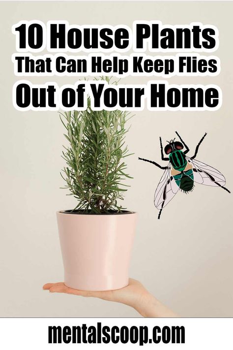 House Fly Traps, Fly Repellant Diy, Fly Deterrent, Homemade Fly Traps, Natural Fly Repellant, Plants That Repel Flies, Insect Repellent Plants, Diy Fly Trap, Fly Infestation