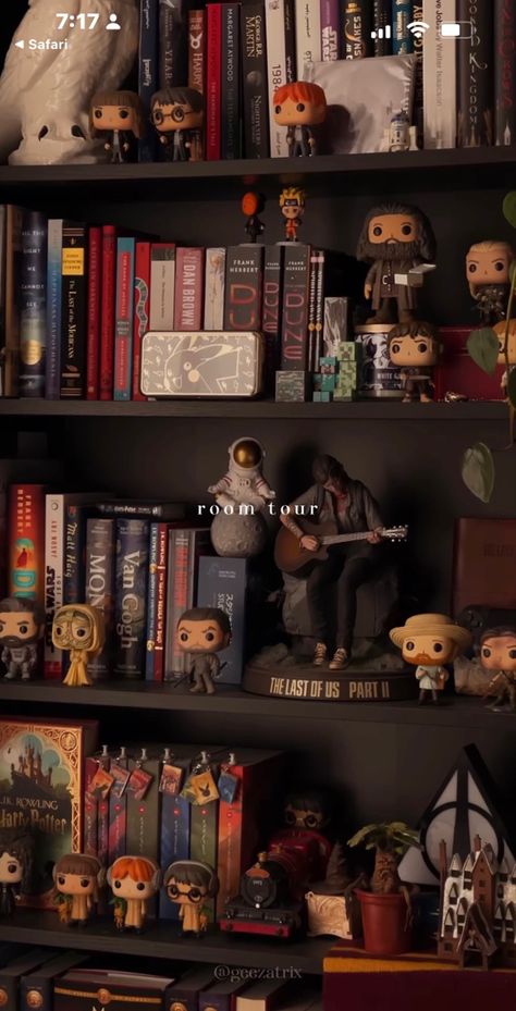 Harry Potter Pc Setup, Harry Potter Book Corner, Geezatrix Room, Nerdy Room Aesthetic, Harry Potter Collection Display, Peeves Harry Potter, Popculture Aesthetic, Harry Potter Aesthetic Room Decor, Harry Potter Bookshelf