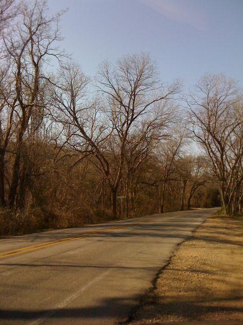 Texas Winter Aesthetic, Winter In Texas, January Mood, Leafless Tree, Winter Moodboard, Texas Winter, Tree Photos, Texas Life, Texas Christmas