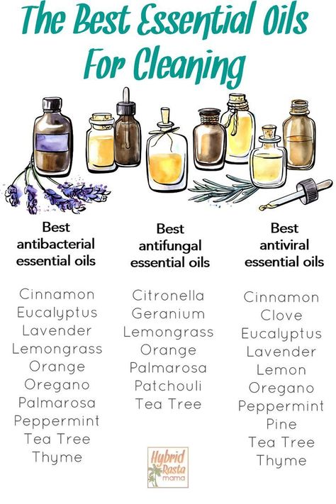 Essential Oil Blends Clean House, Make Your Own Natural Cleaners, Antibacterial Essential Oil Blend, Disinfectant Essential Oils, Disinfecting Essential Oils, Homemade Cleaning Products With Essential Oils, Essential Oils For House Cleaning, Herbal Cleaning Recipes, Essential Oils Must Haves