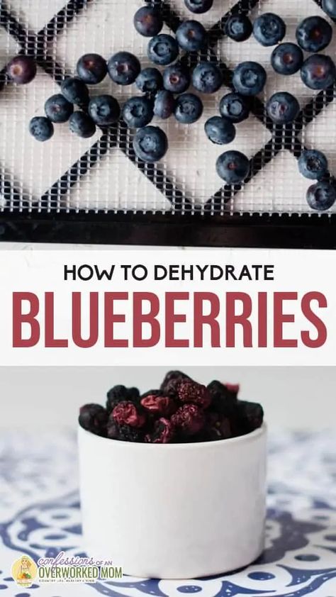 Dehydrate Blueberries In Dehydrator, Dehydrated Blueberries Recipes, How To Dehydrate Herbs In Dehydrator, Magic Mill Dehydrator Recipes, Dehydrate Blueberries, Preserve Blueberries, Dehydrating Blueberries, Dehydrated Blueberries, Dehydrating Fruit