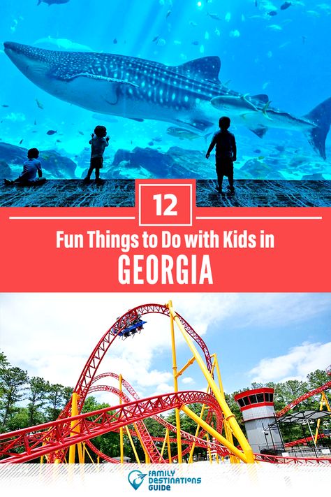 Dreaming about a family vacation to Georgia and looking for things to do? We’re FamilyDestinationsGuide, and we’re here to help: Discover the most fun things to do in Georgia with kids - so you get memories that last a lifetime! #georgia #georgiathingstodo #georgiawithkids #georgiaactivities Things To Do In Georgia, Kid Friendly Vacations, Georgia Vacation, Vacation Activities, Things To Do With Kids, Best Family Vacations, Vacation Video, Kids Vacation, Family Destinations