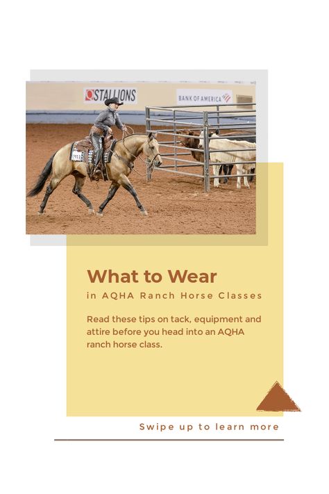 Ranch Riding Show Outfits, Ranch Horse Show Clothes, Ranch Versatility, Horse Show Packing List Equestrian, Teaching Horse Riding Lessons, Horse Riding Tips Western, Ranch Horses Working, Ranch Horses, Mounted Shooting