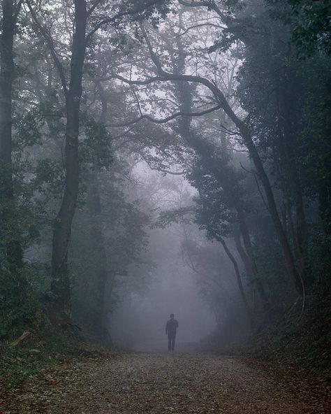 Southern Aesthetic, Lone Wanderer, Detective Aesthetic, Thriller Novels, Gothic Novel, Horror Novel, Misty Forest, Thriller Books, Dark Academia Aesthetic