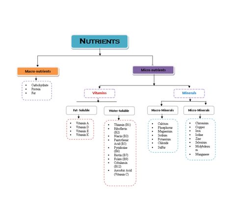 Here is a simple layout of nutrients and how to distinguish them appropriately. Micro Nutrients Chart, Macro And Micro Nutrients, Macro Nutrients Chart, Nutrients Chart, Nutrition Notes, Nature Benefits, Science Diagrams, Nursing School Inspiration, Nurse Study