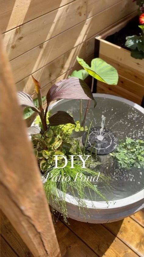 Diy Patio Pond, Fish Pond Gardens, Container Water Gardens, Taman Air, Patio Pond, Indoor Water Garden, Diy Water Fountain, In Her Garden, Diy Pond