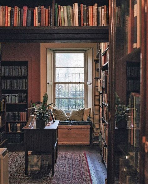 Lots Of Books, Cosy Reading, Reading Nooks, Home Libraries, House Goals, Home Library, My New Room, House Inspo, Dream Room