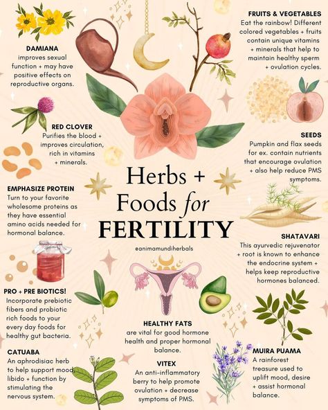 A N I M A M U N D I Apothecary on Instagram: “Since our last pregnancy post, many of you have asked us for tips and tricks for fertility. This is an interesting topic as it’s either…” Foods For Fertility, Herbs For Fertility, Womb Healing, Magia Das Ervas, Fertility Health, Medical Herbs, Improve Fertility, Magic Herbs, Feminine Health