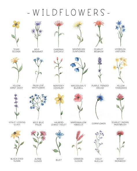 Tiny Flower Tattoos, Wildflower Art, Inspiration Tattoos, Birth Flower Tattoos, Popular Flowers, Flower Meanings, Watercolor Flower Art, Language Of Flowers, Black Eyed Susan