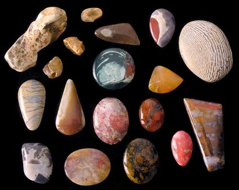 Chert, flint and jasper – Gemstones – Te Ara Encyclopedia of New Zealand Stone Identification, Rock Identification, Rock Hunting, Rock Collection, Jasper Gemstone, Rocks And Minerals, New Zealand, Hunting, Gemstones