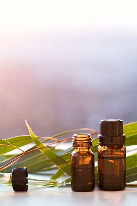 9 Unexpected Benefits of Eucalyptus Oil Eucalyptus Oil Benefits, Benefits Of Eucalyptus, Diffuser Recipes, Aromatherapy Diffuser, Eucalyptus Oil, Eucalyptus Essential Oil, Oil Benefits, Aromatherapy Oils, Aromatherapy Diffusers