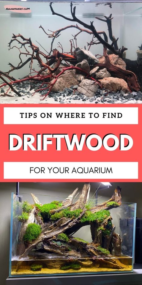 Diy Aquarium Decor, Diy Fish Tank, Fish Tank Design, Aquascape Design, Aquarium Driftwood, Aquarium Terrarium, Fresh Water Fish Tank, Diy Aquarium, Aquarium Setup