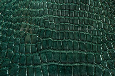 Green alligator leather, skin by praethip. Alligator, leather, hide, skins in green colour#skin, #praethip, #leather, #Green Crocodile Skin Wallpaper, Green Leather Texture, Leather Texture Seamless, Fashion Installation, Polar Opposites, Hanging Craft Ideas, Snake Wallpaper, Construction Business Cards, Crocodile Texture